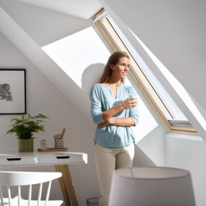 castra-finestre-velux-2