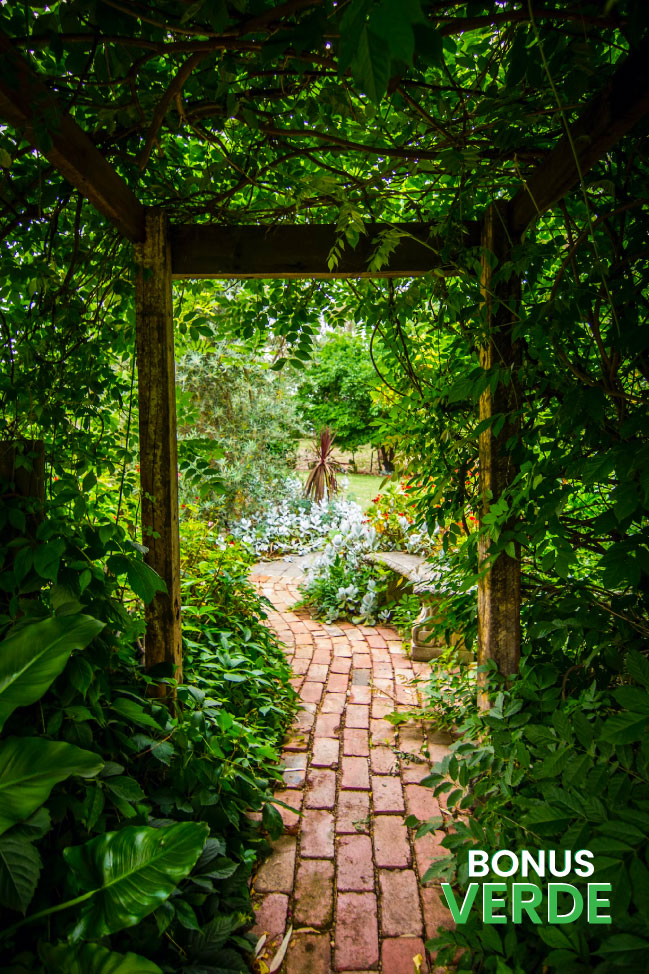 Bonus verde: rifacimento giardini e terrazzi